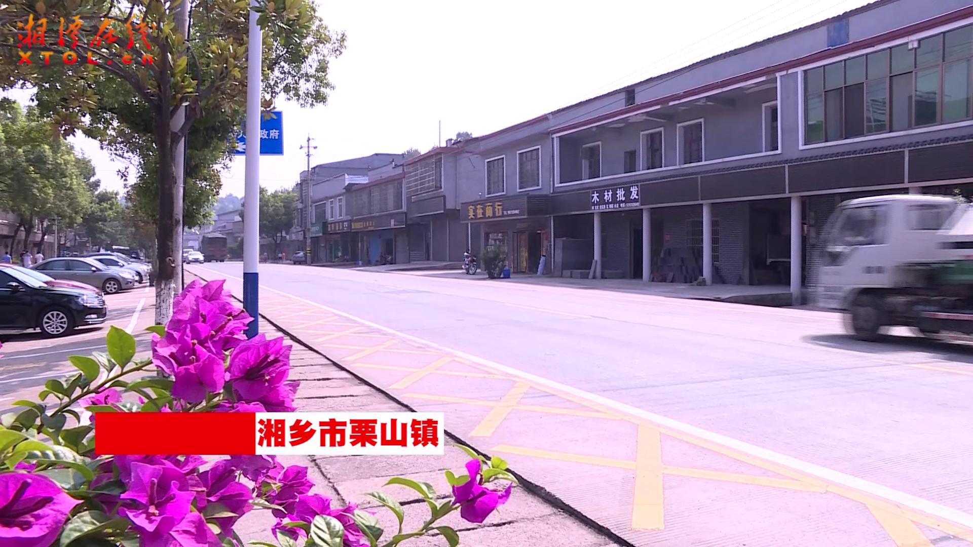 农村人居环境整治丨湘乡市栗山镇:"四提升"换来环境洁净美
